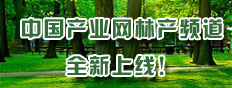 中国产业网林产频道